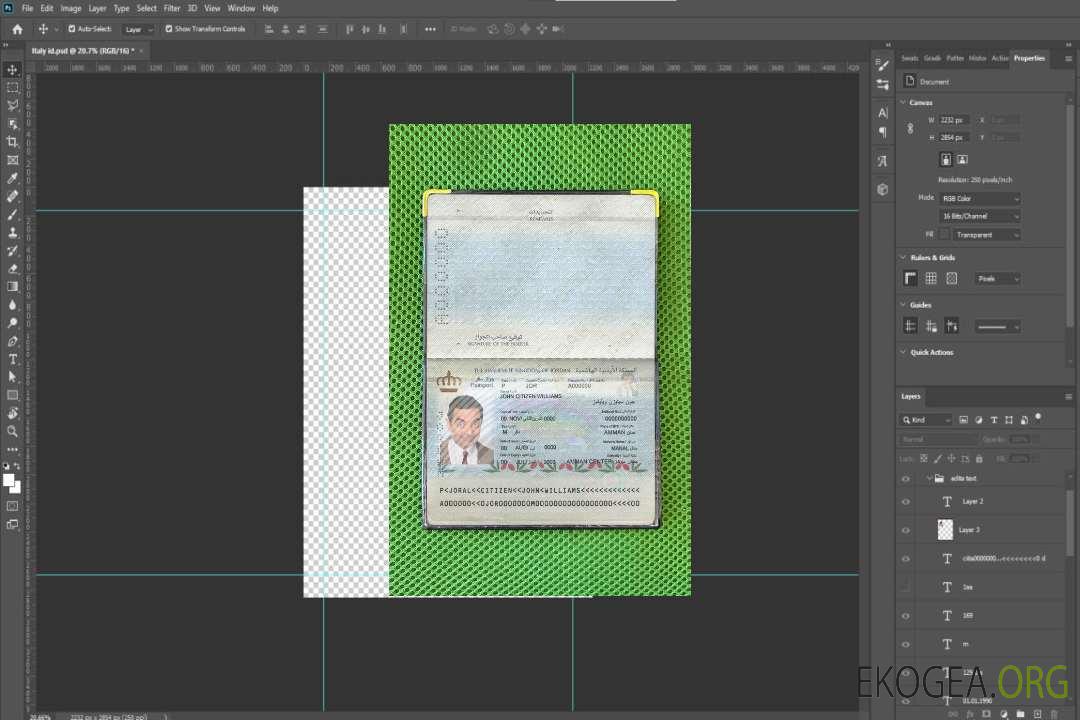 Look de photo de passeport jordanien template Look de photo de passeport jordanien template